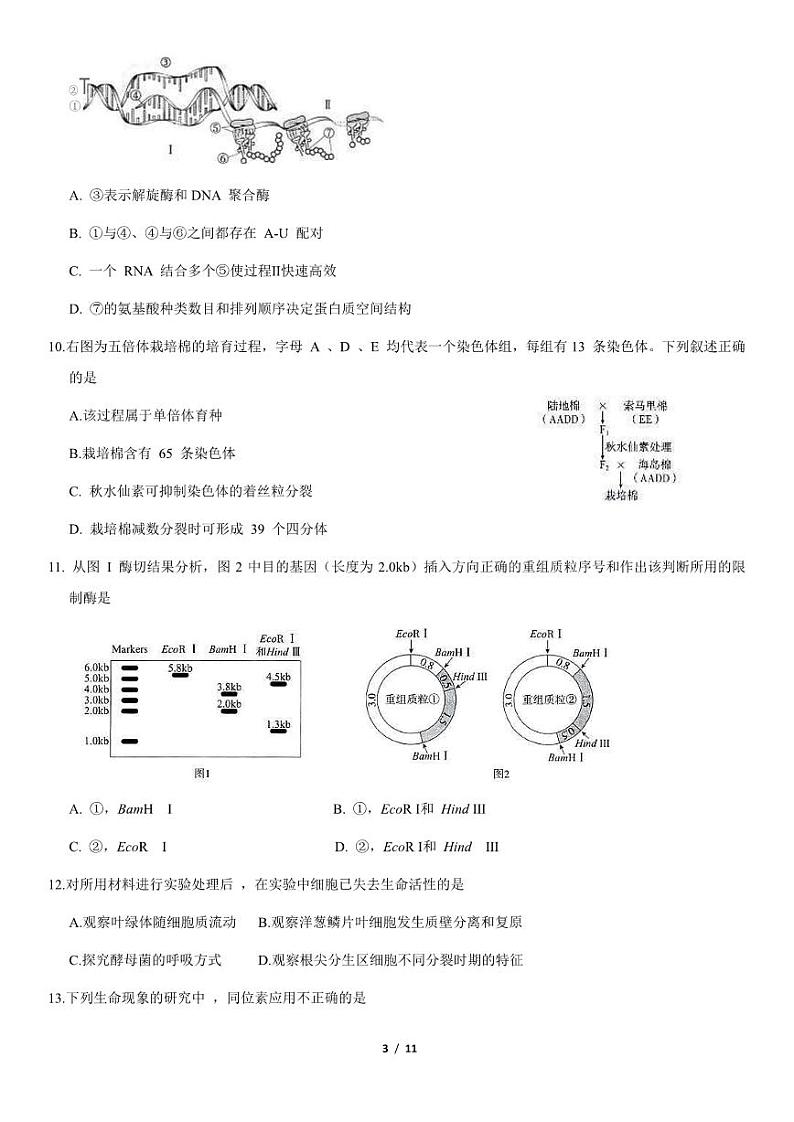 2021北京海淀高三上学期期中生物试卷及答案103