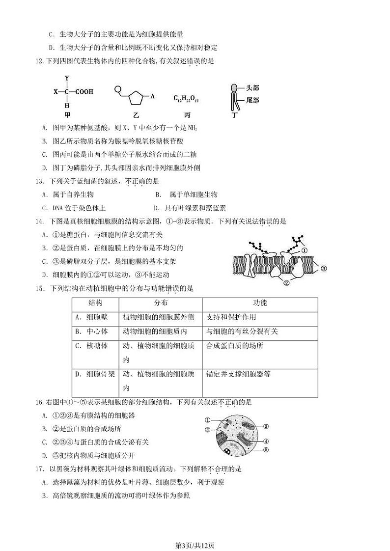 2022北京丰台高一上学期期中生物（A卷）试卷及答案103