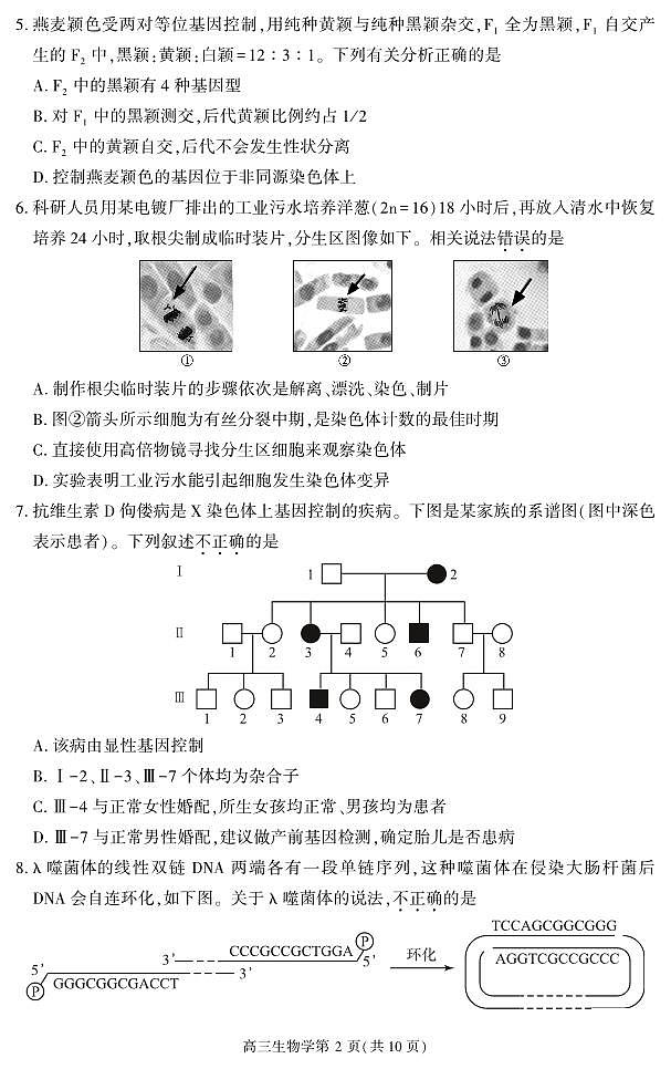 大兴区2022_2023学年度上学期高三期中检测生物试卷及答案02
