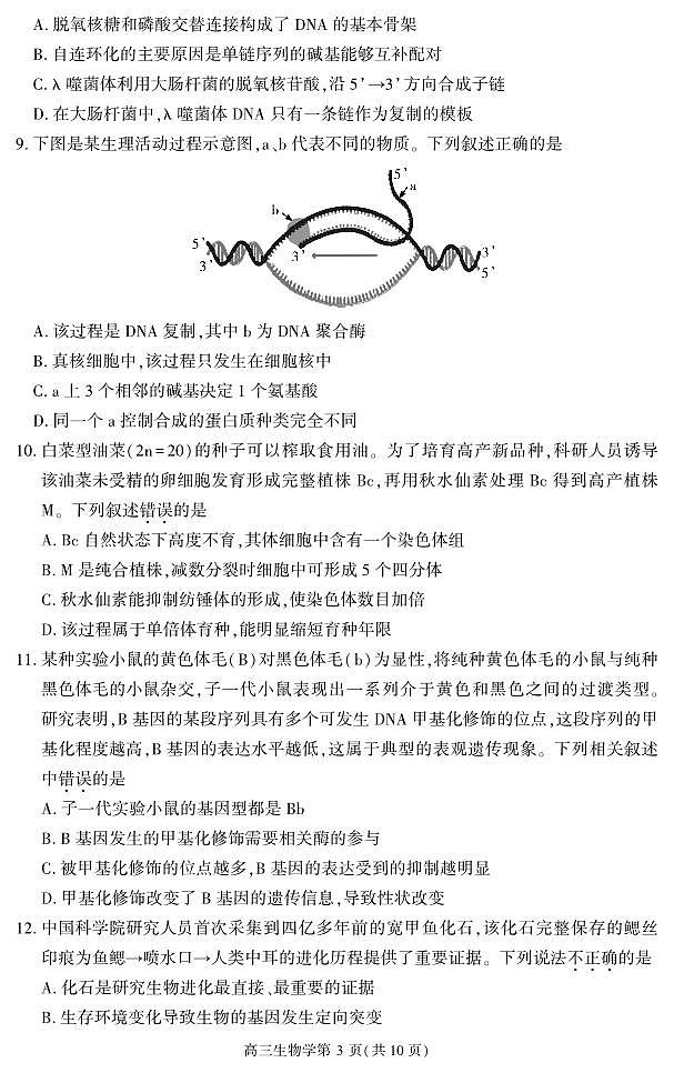 大兴区2022_2023学年度上学期高三期中检测生物试卷及答案03