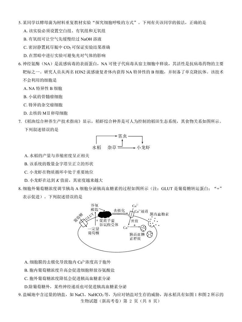 【新高考卷】名校教研联盟2024届高三4月联考 生物第2页