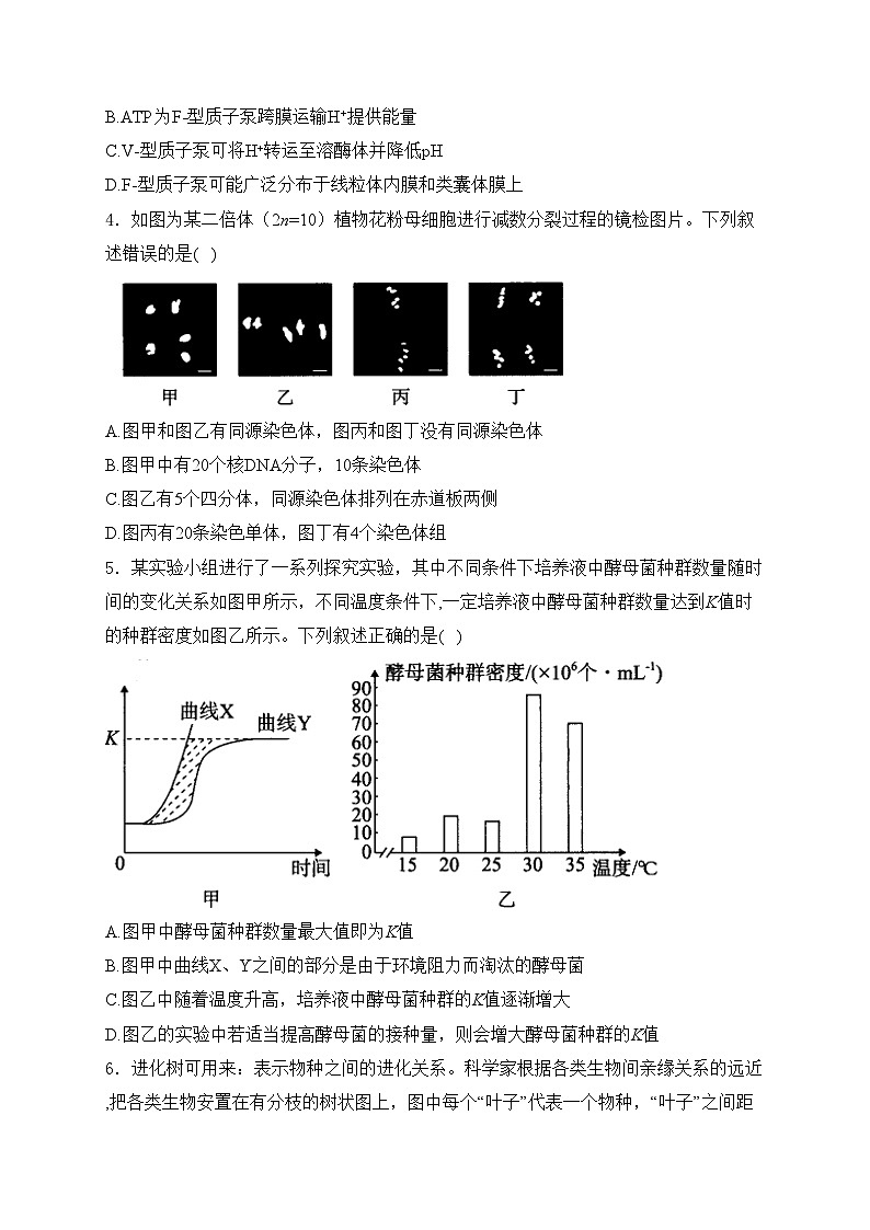 2024届高考生物挑战模拟卷 【浙江卷】(含答案)第2页