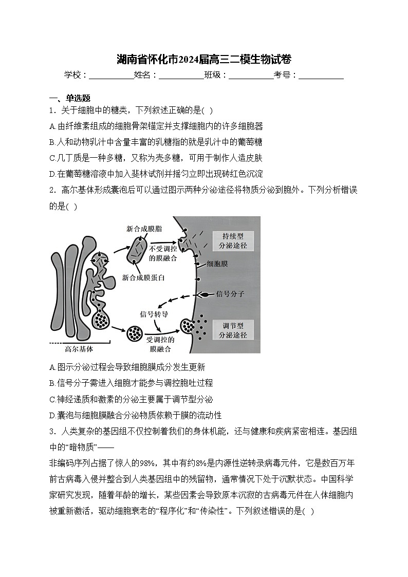 湖南省怀化市2024届高三二模生物试卷(含答案)01