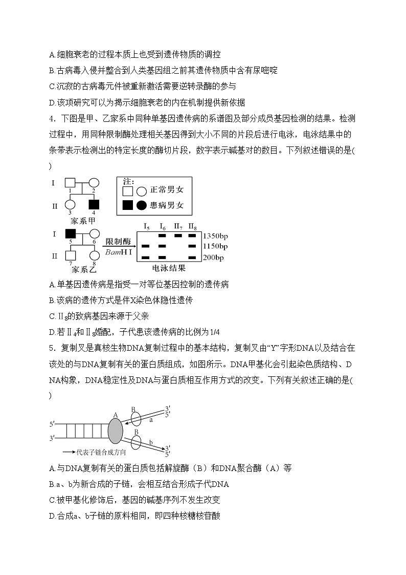 湖南省怀化市2024届高三二模生物试卷(含答案)02
