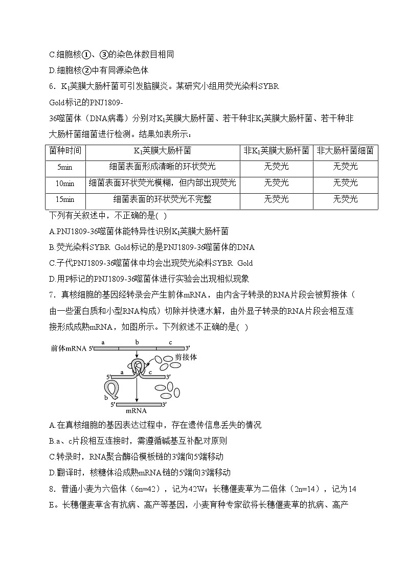 湖南省张家界市2024届2024年高三二模生物试卷(含答案)03