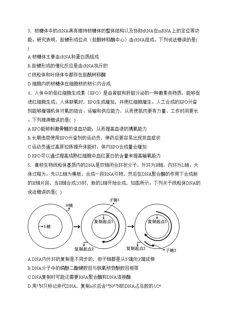 山东省青岛市2024届高三一模生物试卷(含答案)第2页