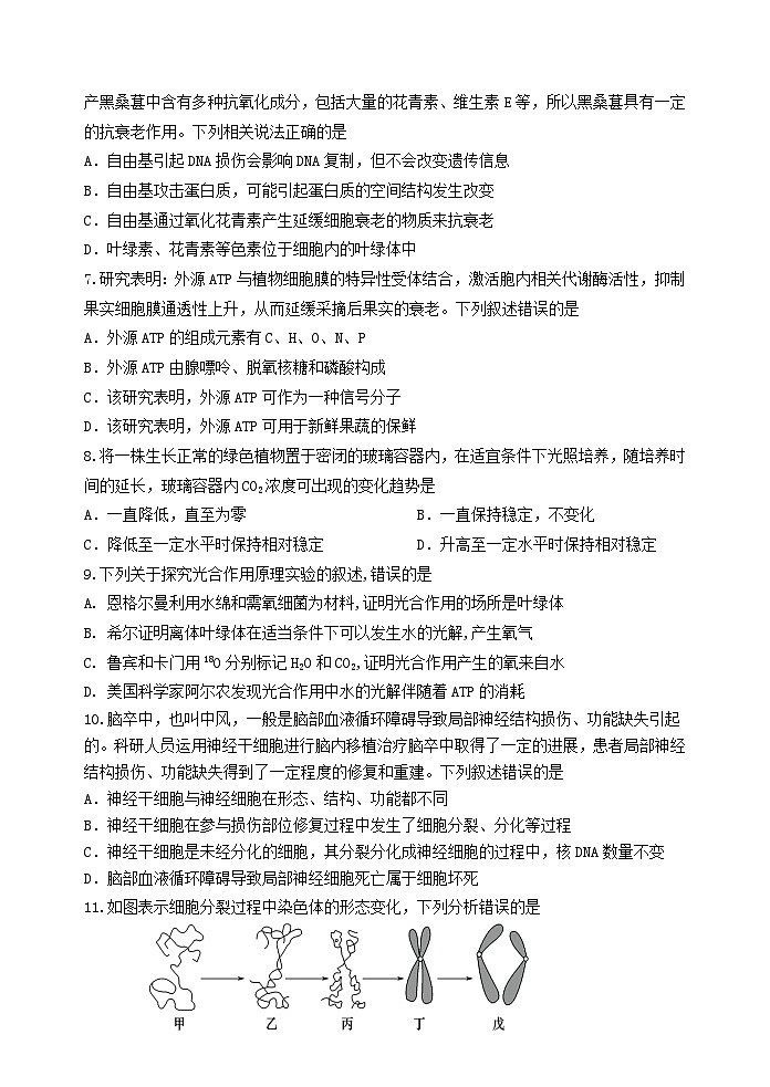广东省江门市某校2023-2024学年高一下学期第一次质量检测生物试题02