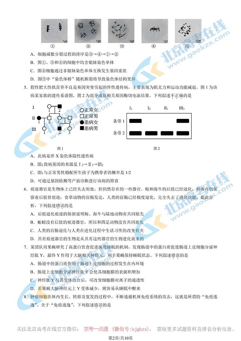 2024北京门头沟高三一模生物试题及答案第2页