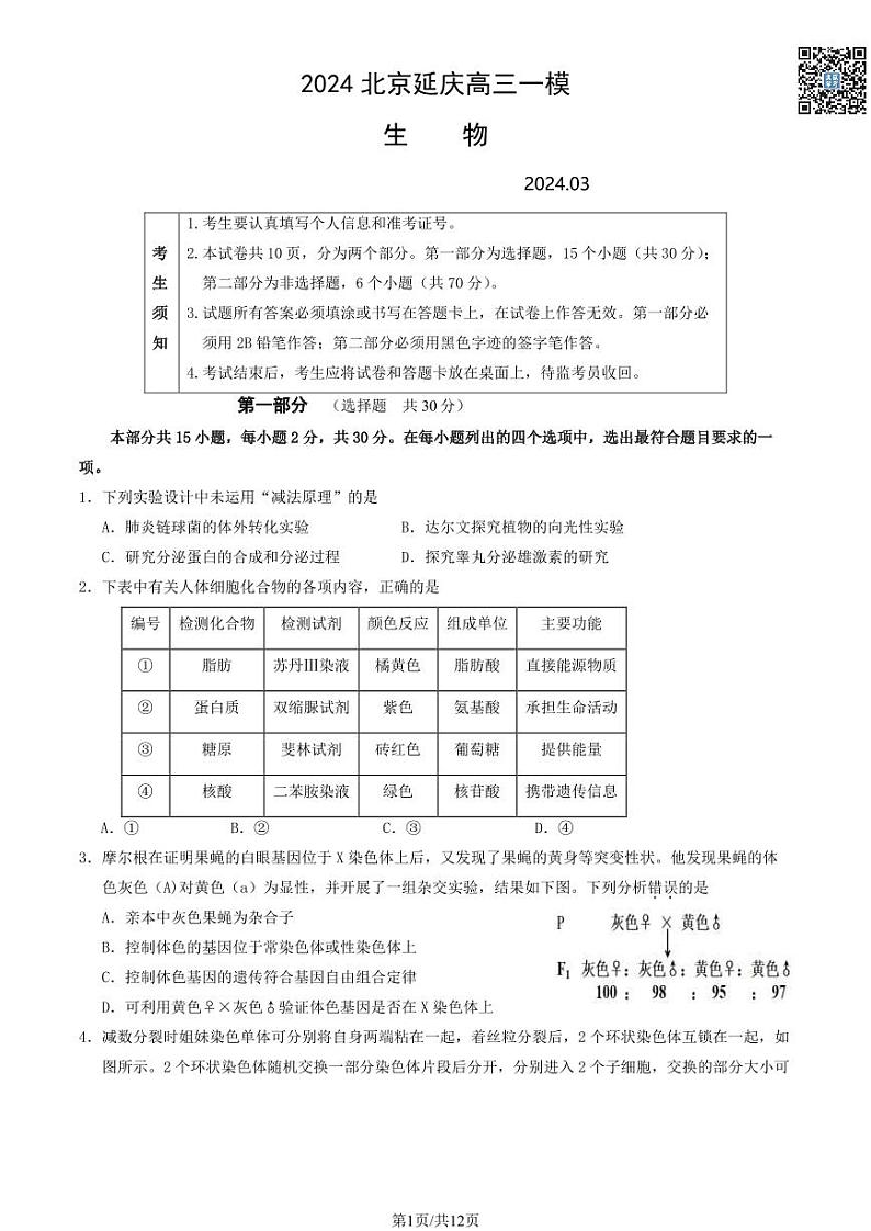 2024北京延庆高三一模生物试卷及答案（教师版）第1页