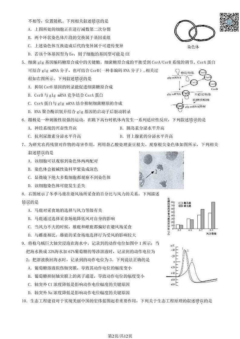 2024北京延庆高三一模生物试卷及答案（教师版）第2页