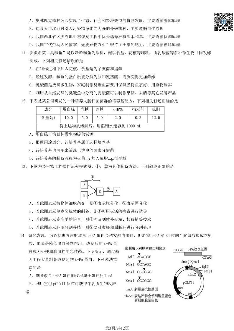 2024北京延庆高三一模生物试卷及答案（教师版）第3页