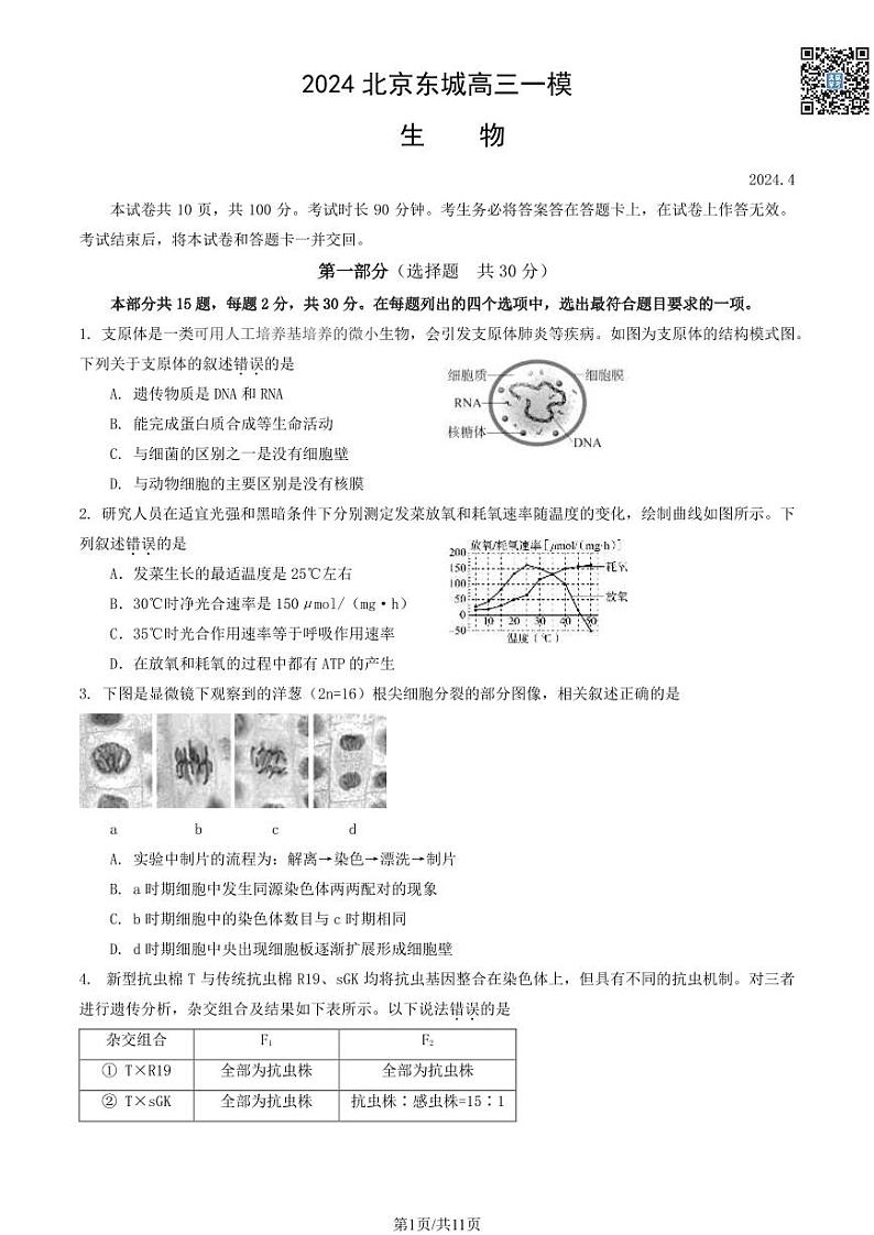 2024北京东城高三一模生物试卷及答案（教师版）第1页