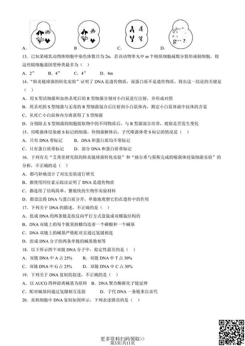 2024北京一零一中高一下学期期中生物（等级考）试卷03