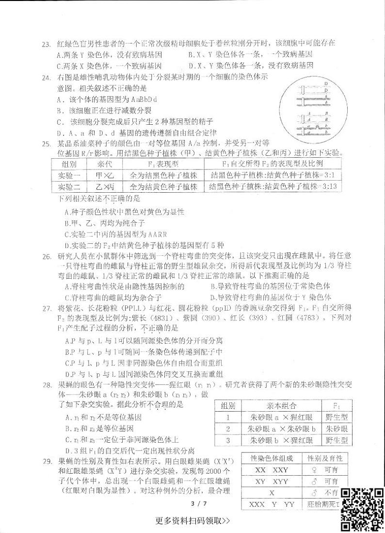 2024北京理工大附中高一下学期期中生物（等级考）试卷第3页