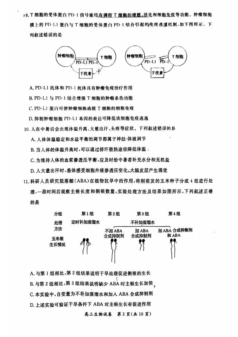 2024北京通州高三一模生物试卷第3页