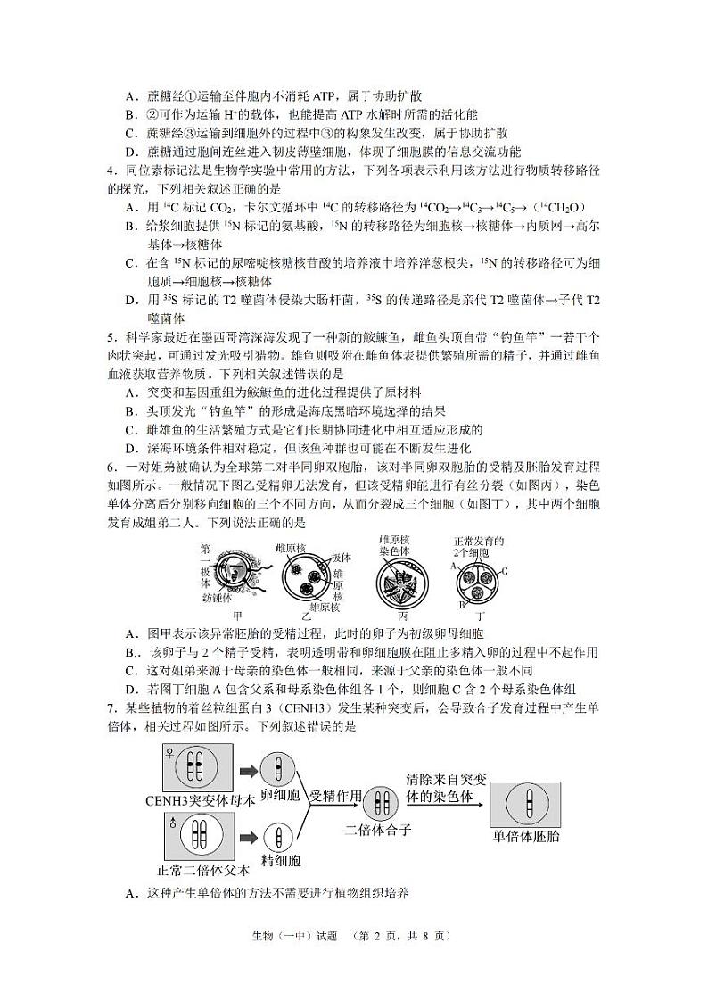 2024长沙一中高三下学期二模试题生物PDF版含解析02