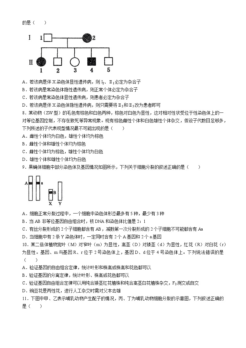 海南省海口市琼山区海南中学2023-2024学年高一下学期4月期中生物试题02