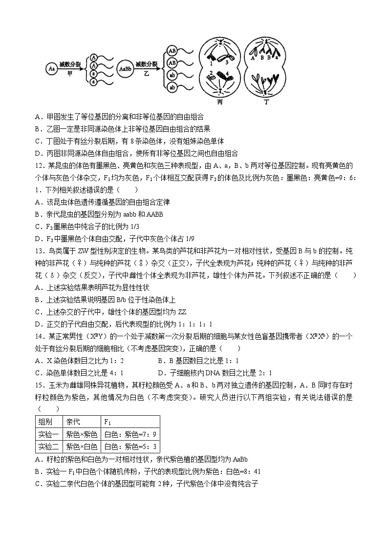 海南省海口市琼山区海南中学2023-2024学年高一下学期4月期中生物试题03
