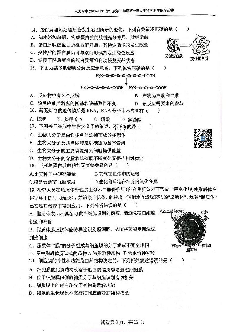人大附中2023~2024学年度上学期高一生物学期中试卷及答案03