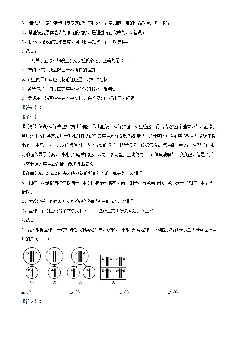 广东省佛山市S6高质量发展联盟2023-2024学年高一下学期期中联考生物试题（解析版）第3页