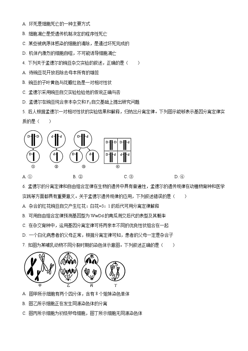 广东省佛山市S6高质量发展联盟2023-2024学年高一下学期期中联考生物试题（原卷版）第2页