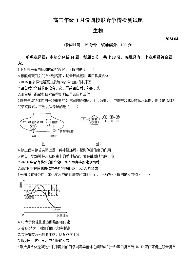 2024届江苏省扬州市仪征市高三四校联考生物试卷(无答案)第1页