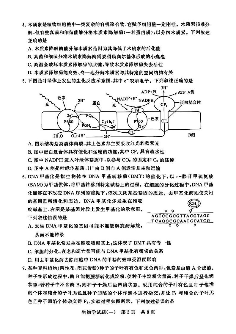 2024年普通高中学业水平选择性考试压轴卷(一模)T8生物试题第2页