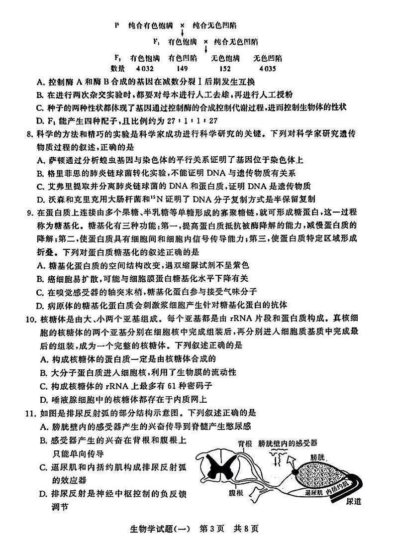 2024年普通高中学业水平选择性考试压轴卷(一模)T8生物试题第3页