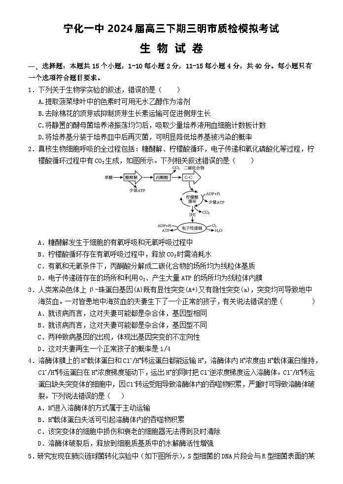福建省宁化市第一中学2023-2024学年高三下学期第一次质检模拟生物试题第1页