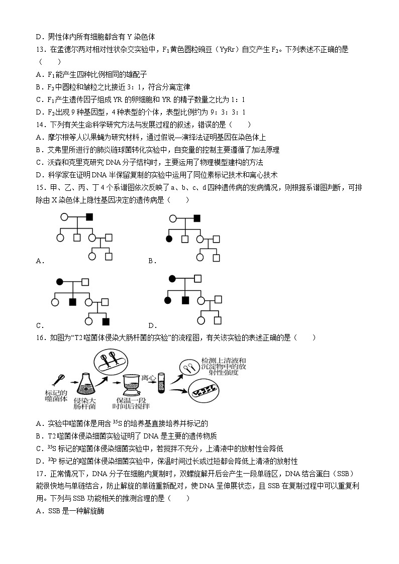 福建省莆田第二十五中学2023-2024学年高一下学期期中考试生物试题第3页
