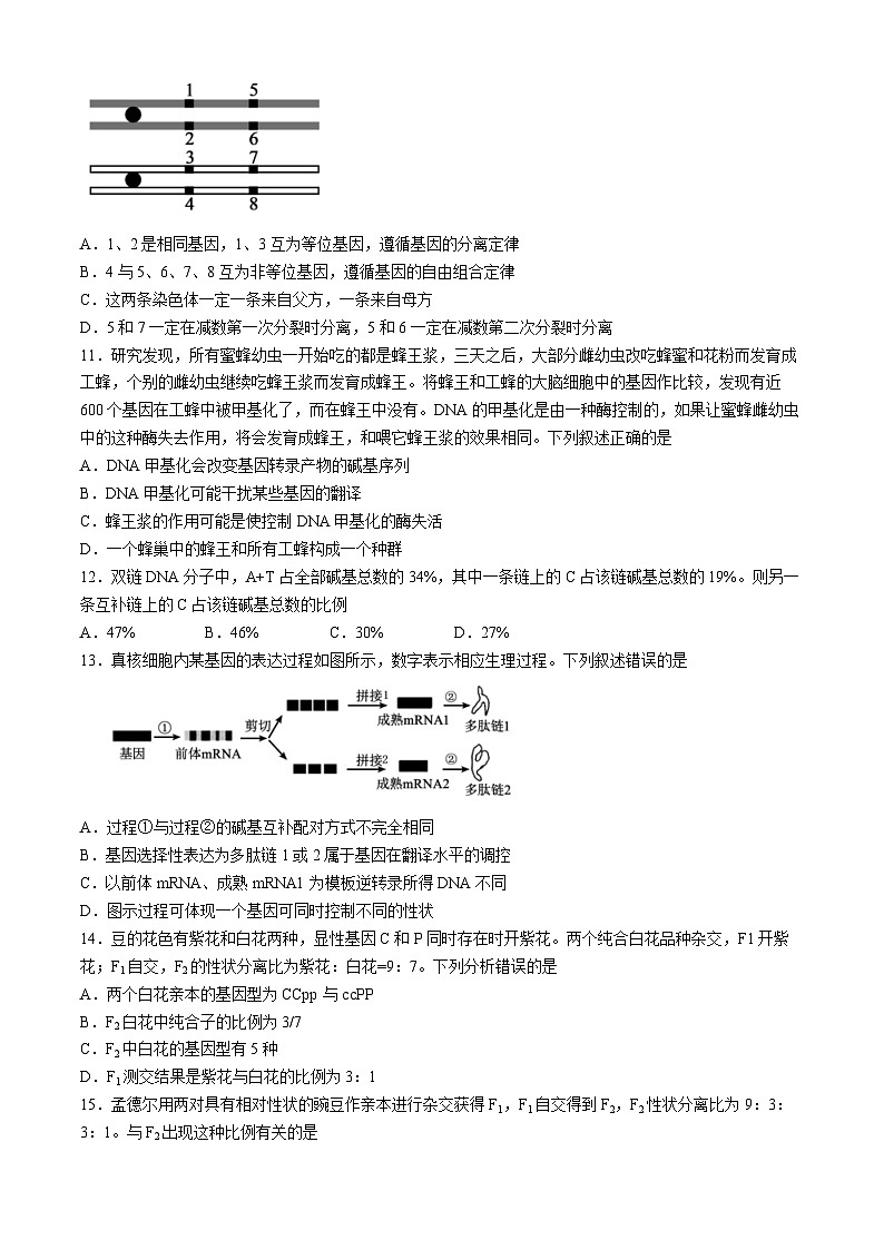 广东省广州市第六中学2023-2024学年高一下学期期中考试生物试题03