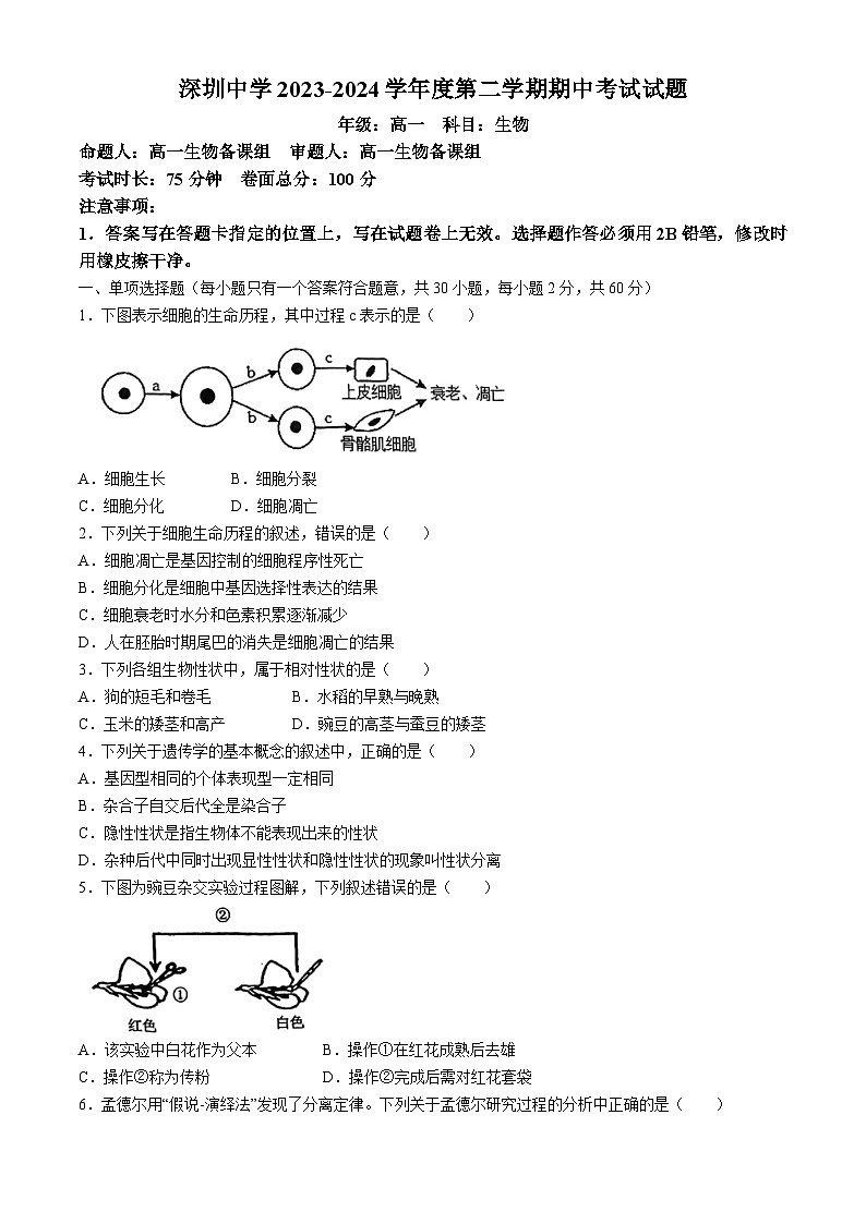 广东省深圳市罗湖区深圳中学2023-2024学年高一下学期4月期中生物试题01