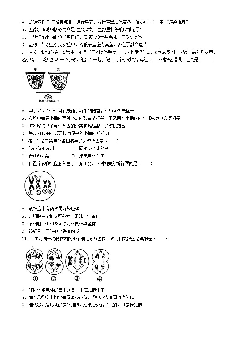 广东省深圳市罗湖区深圳中学2023-2024学年高一下学期4月期中生物试题02