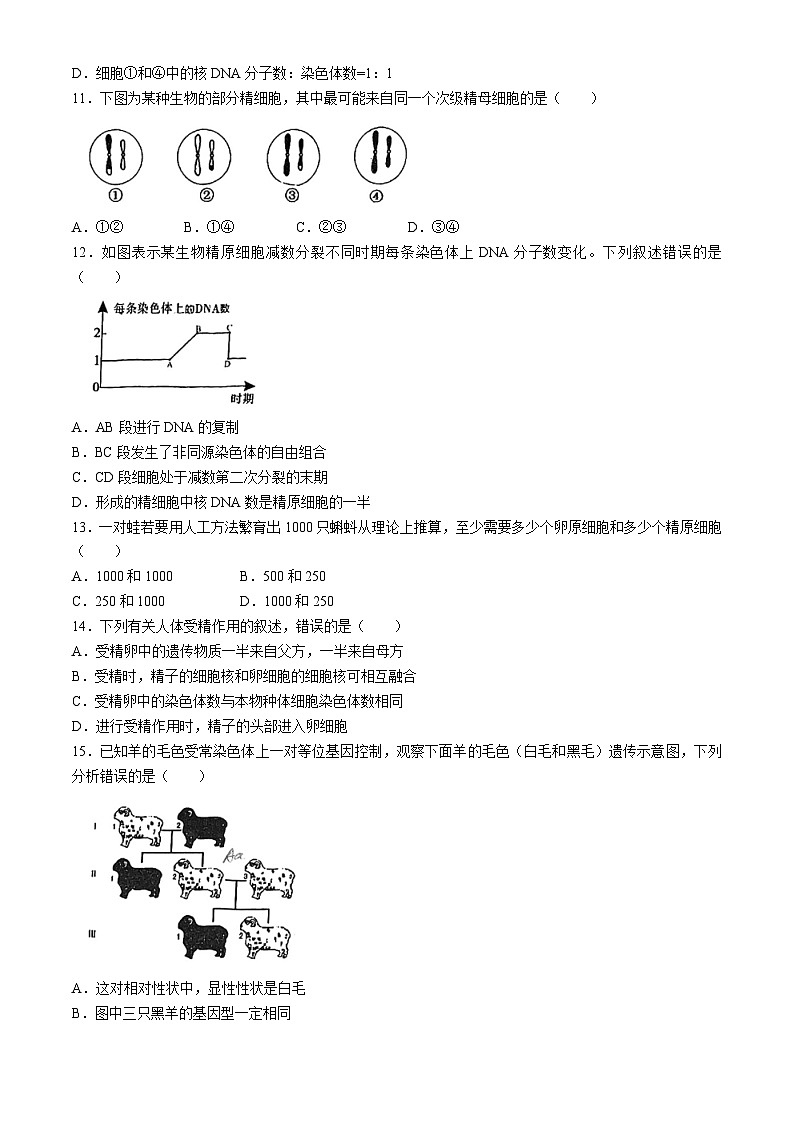广东省深圳市罗湖区深圳中学2023-2024学年高一下学期4月期中生物试题03