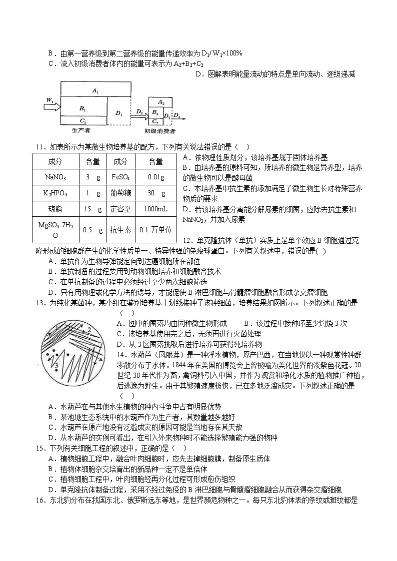广东省深圳市宝安区富源学校2023-2024学年高二下学期4月期中生物试题02