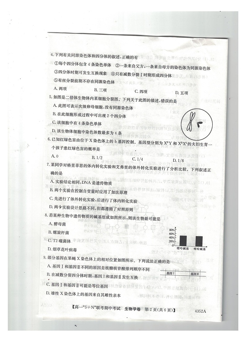 广西南宁市2023-2024年高一下学期期中考试生物试卷第2页