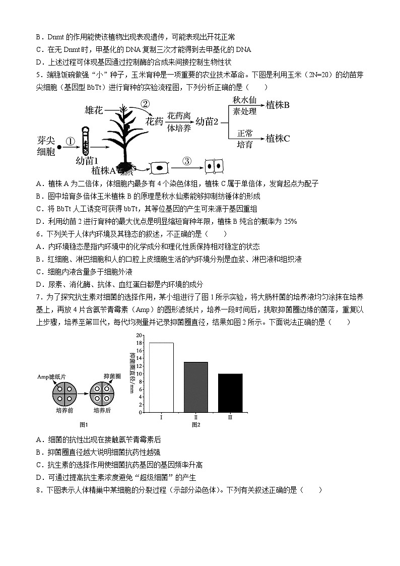 河北省保定市保定部分1+3+2023-2024学年高一下学期4月期中生物试题02