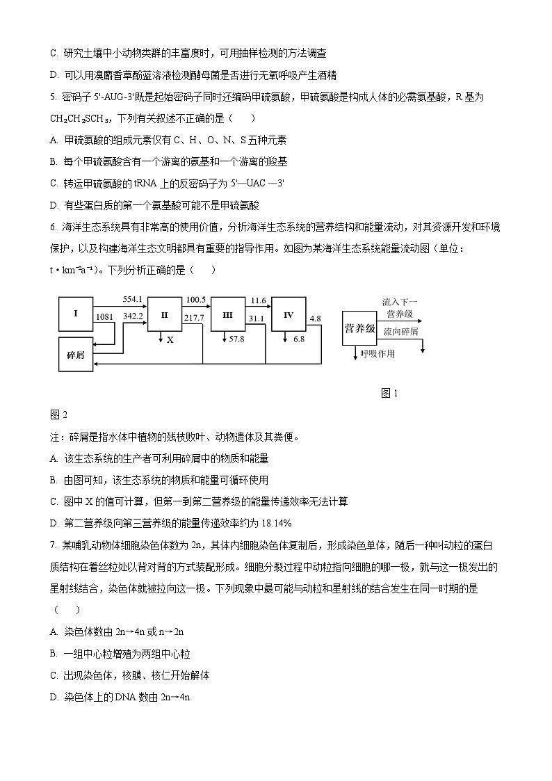 2024届天津市河东区高三下学期高中学业水平等级性考试第二次模拟考试生物试题（原卷版+解析版）02