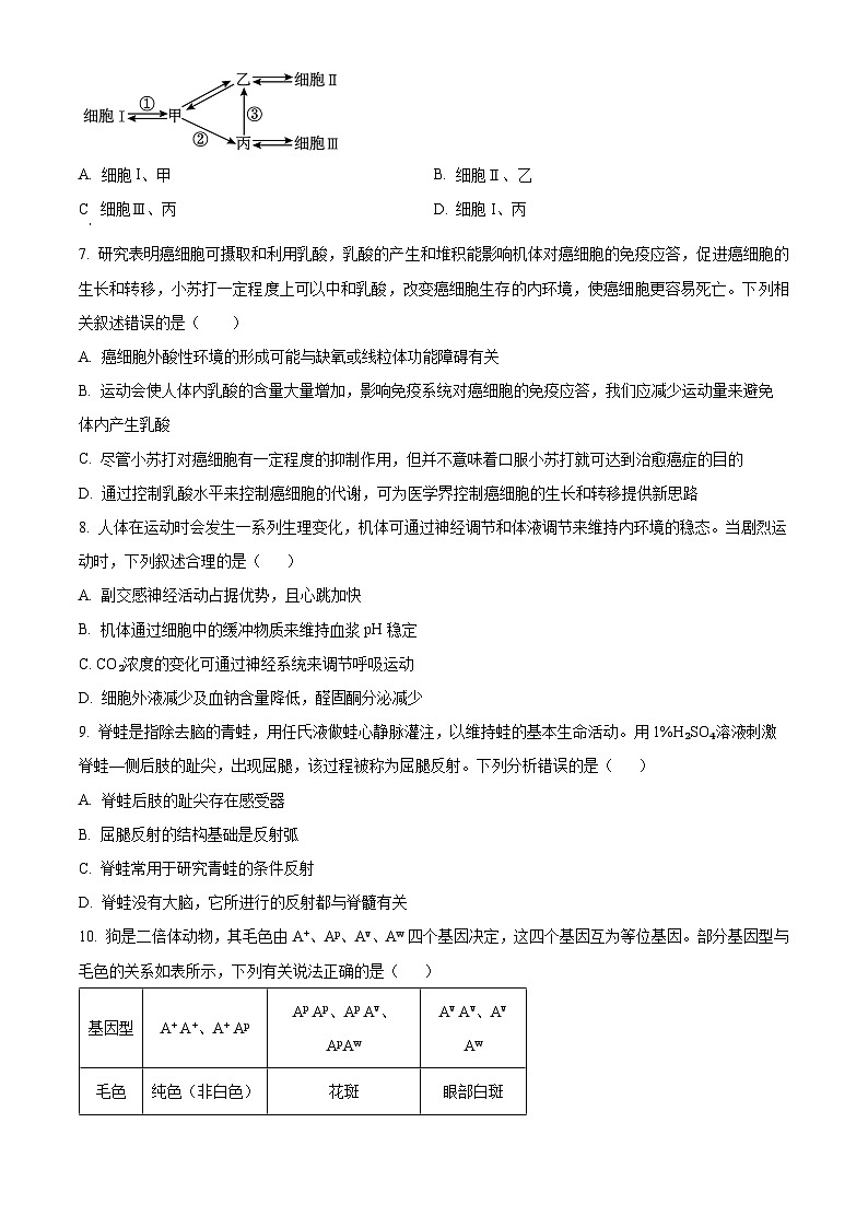 海南省海口市第一中学2023-2024学年高三年级下学期四月月考生物试题A卷（原卷版）第2页