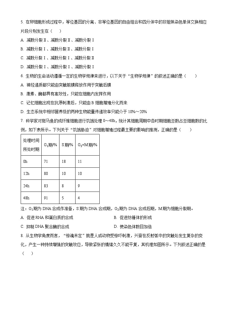 海南省海口市第一中学2023-2024学年高三年级下学期四月月考生物试题B卷（原卷版）第2页