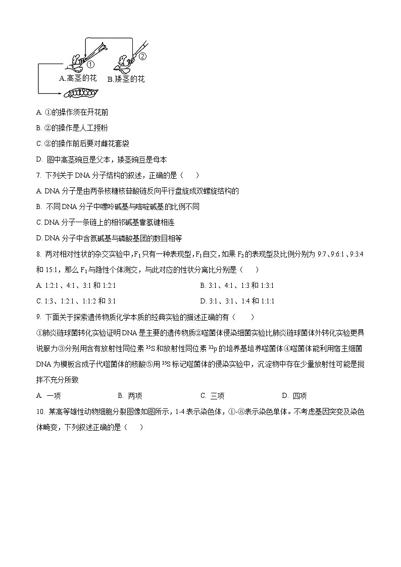 江苏省宿迁市泗阳县泗阳中学2023-2024学年高一下学期期中考试生物试题（原卷版）第2页