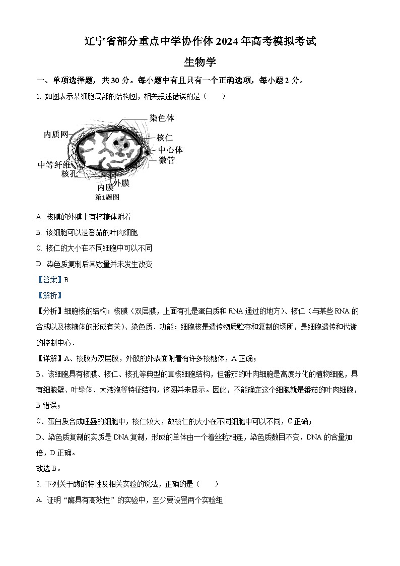 辽宁省部分重点中学协作体2024年高考模拟考试生物试题（原卷版+解析版）01