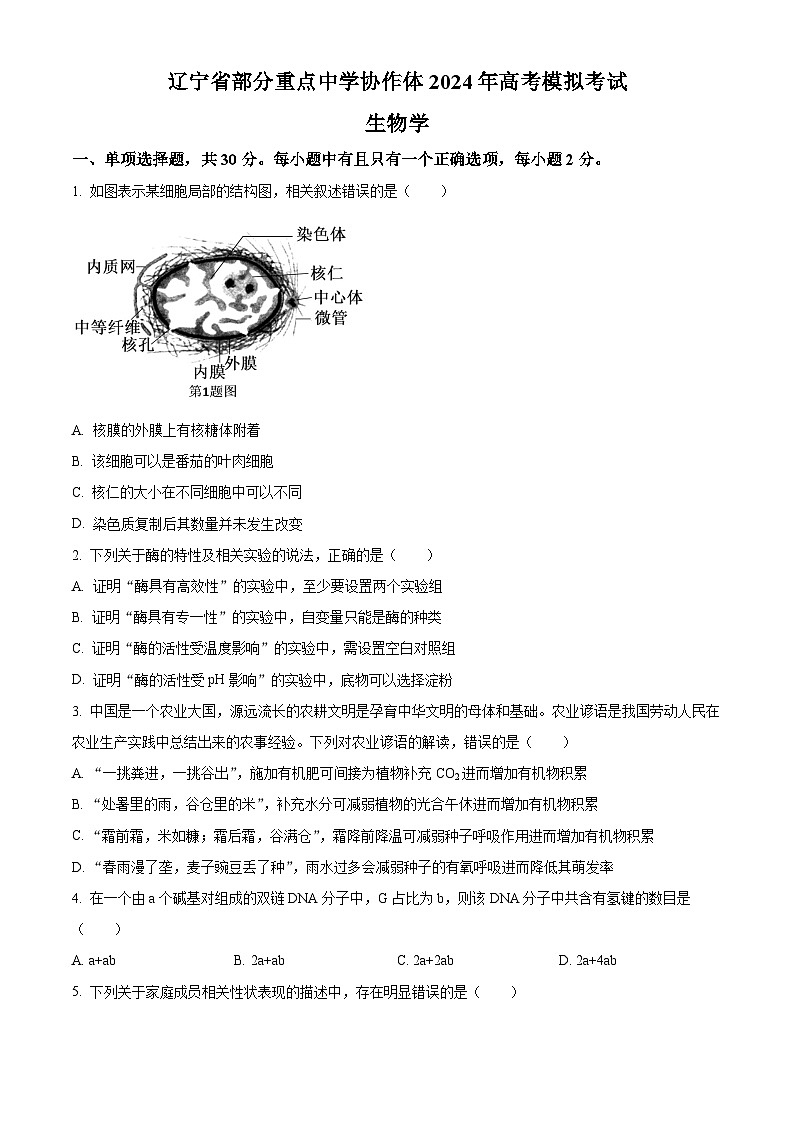 辽宁省部分重点中学协作体2024年高考模拟考试生物试题（原卷版+解析版）01