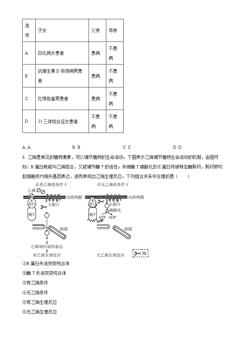 辽宁省部分重点中学协作体2024年高考模拟考试生物试题（原卷版+解析版）02