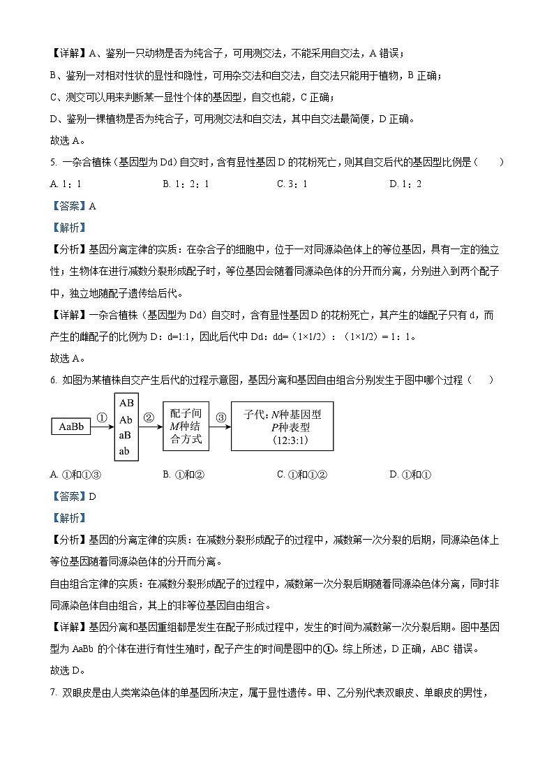 四川省阆中中学校2023-2024学年高一下学期期中考试生物试题（原卷版+解析版）03