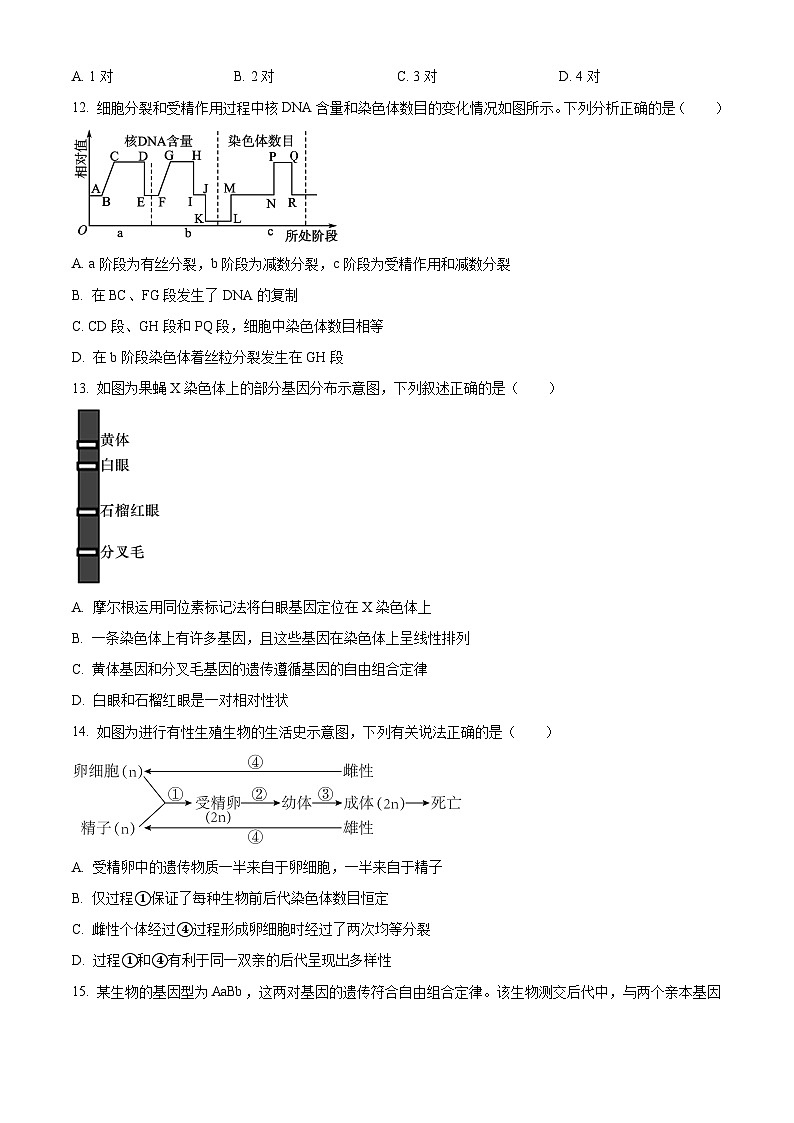 四川省阆中中学校2023-2024学年高一下学期期中考试生物试题（原卷版+解析版）03