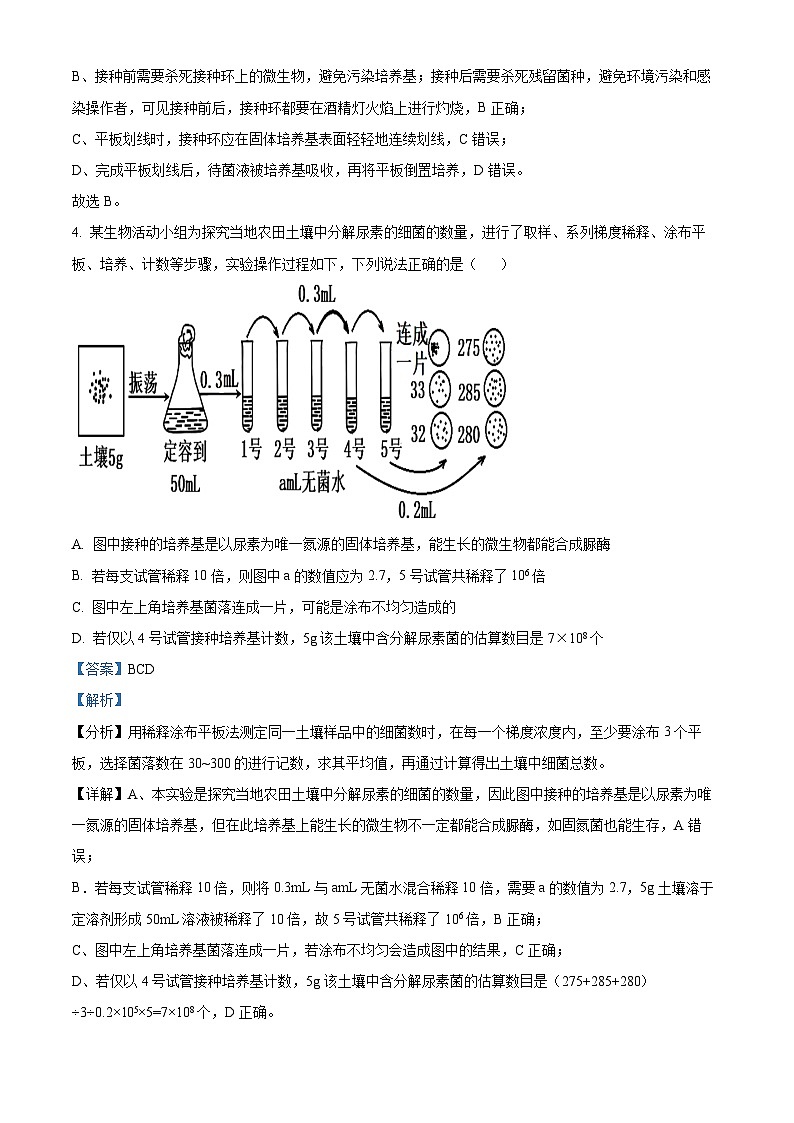 四川省绵阳南山中学2023-2024学年高二下学期期中考试生物试题（原卷版+解析版）03