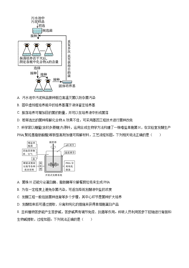 四川省绵阳南山中学2023-2024学年高二下学期期中考试生物试题（原卷版+解析版）03