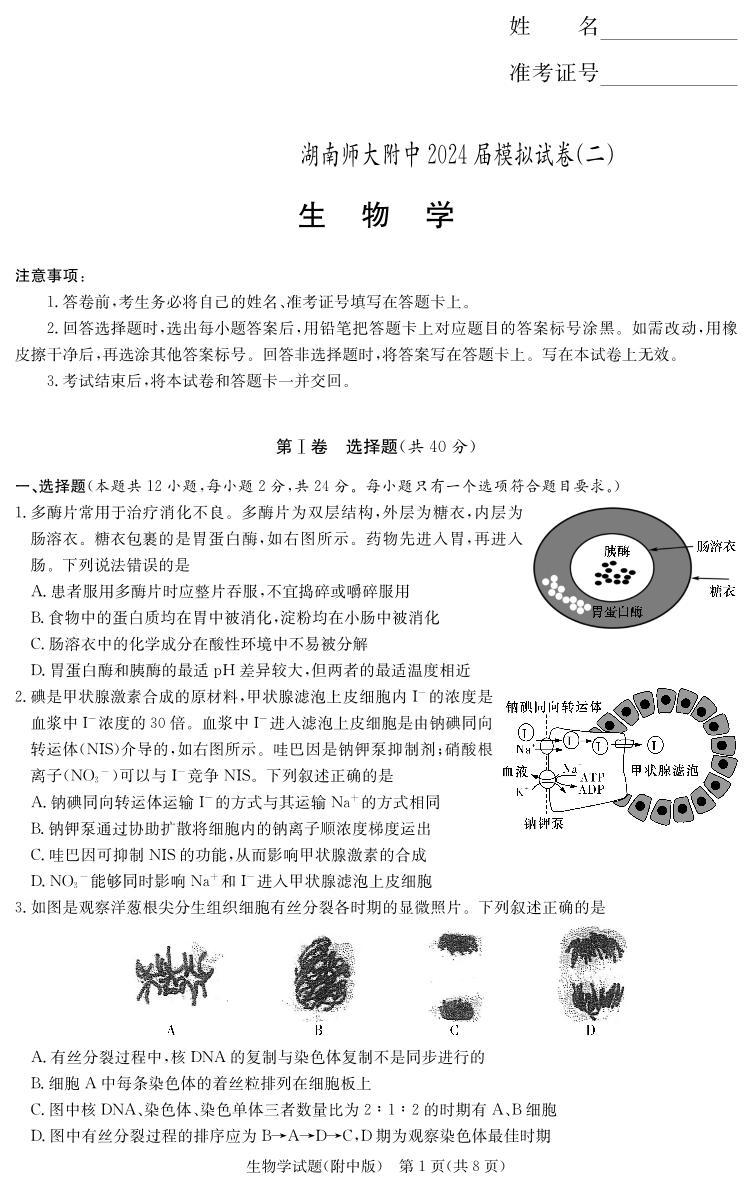 2024届湖南省师范大学附属中学高三下学期模拟考试（二）生物试题01