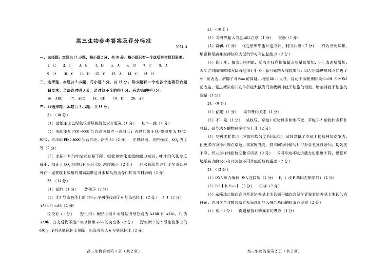 2024届山东省潍坊市高三下学期二模生物试卷01